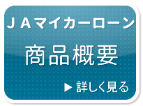 ＪＡマイカーローン商品概要